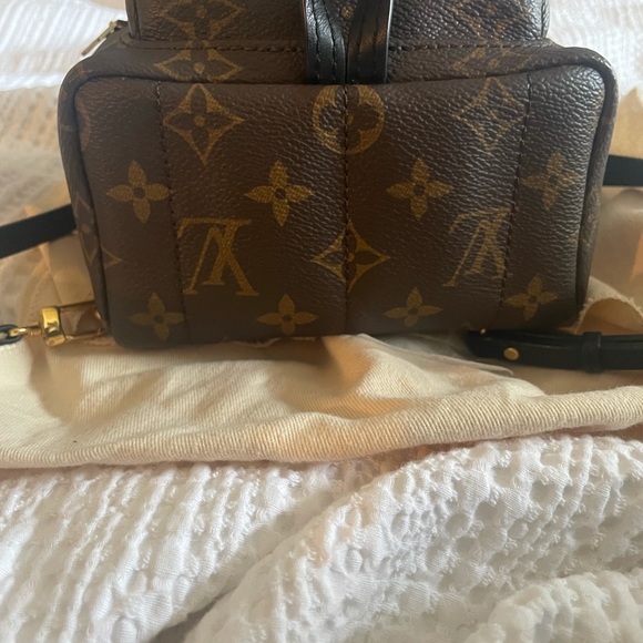 Louis Vuitton Palm Springs mini - Picture 4 of 8